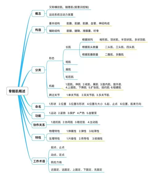 船讯网app在哪下载？新版功能特性详解！
