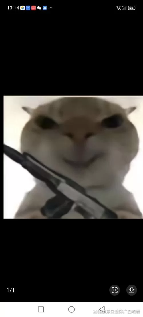 火鸡捉贼者讲了个啥？爆笑剧情让人上头！