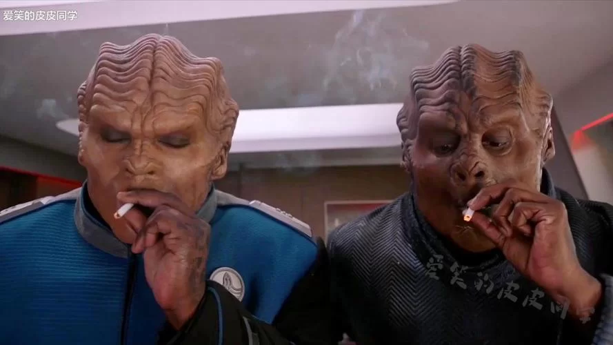 火鸡捉贼者讲了个啥？爆笑剧情让人上头！