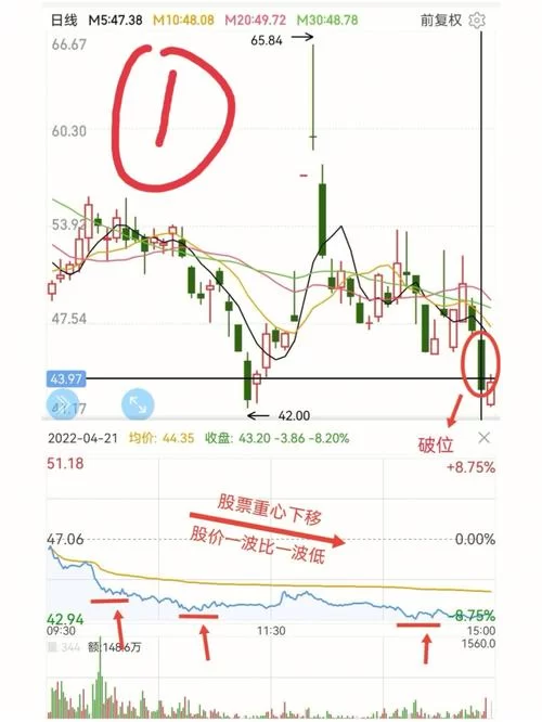 马拉松sr是什么？新手入门全攻略看这篇就够了！