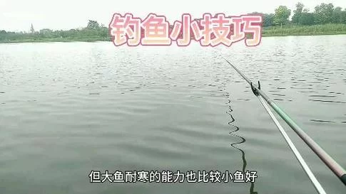 捕大鱼游戏怎么玩？新手也能快速上手的技巧！