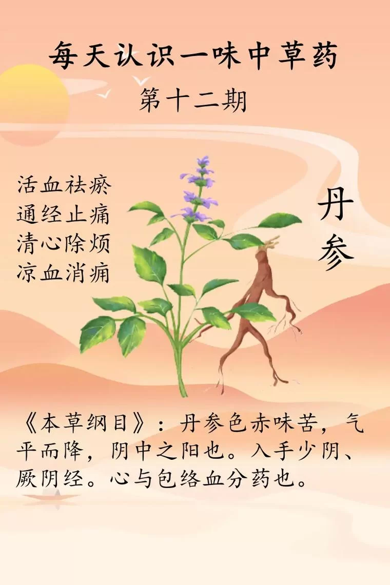 觅长生丹方有什么用？不同丹方效果详细介绍！