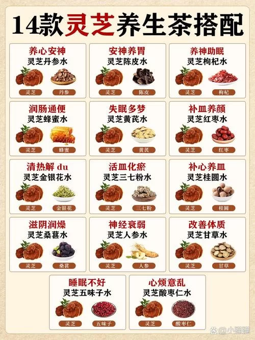 觅长生丹方有什么用？不同丹方效果详细介绍！