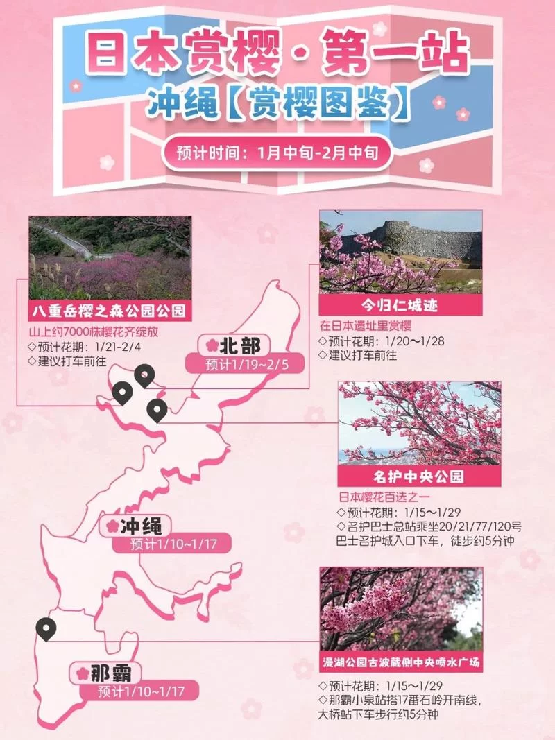 樱花岛入口位置详解,再也不怕找不到地方啦! 樱花岛入口位置详解,再也不怕找不到地方啦!