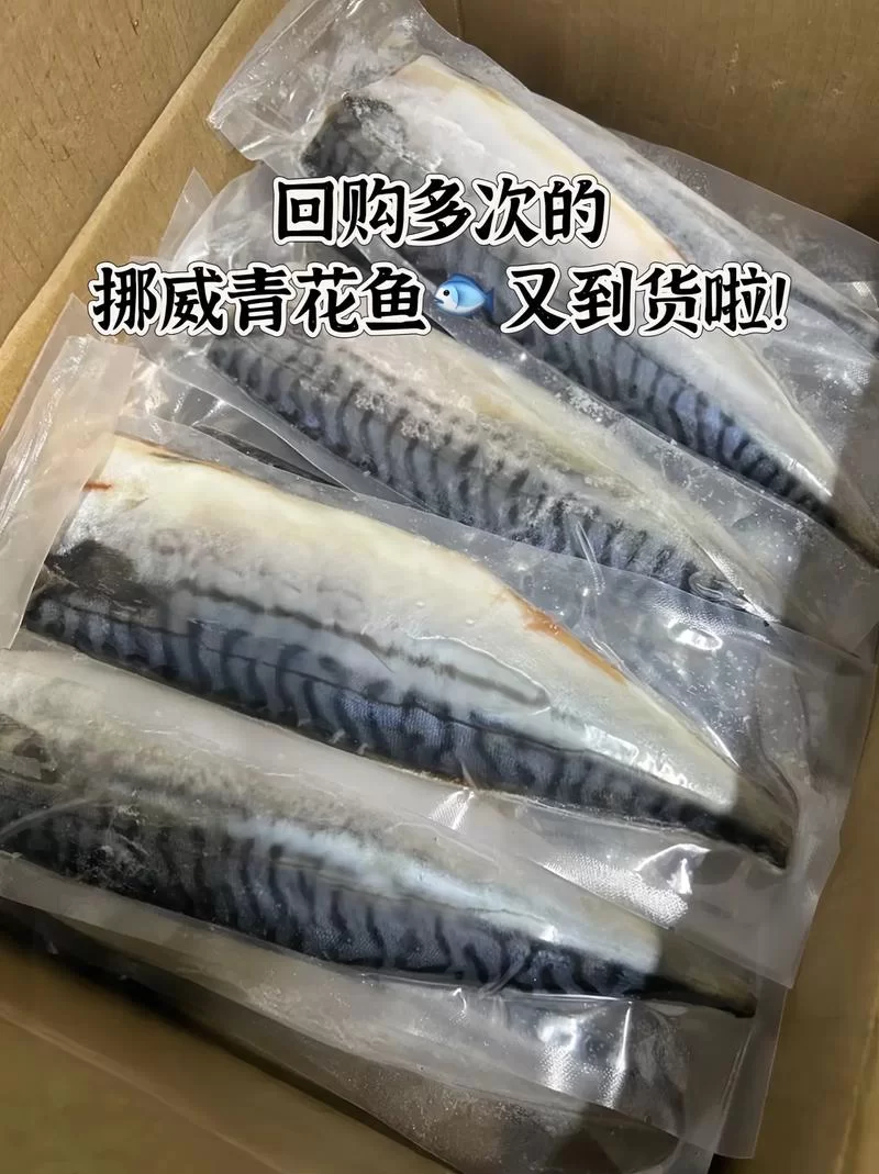 深渊匿名的青花鱼是啥?看完这篇文章你就懂了! 深渊匿名的青花鱼是啥?看完这篇文章你就懂了!