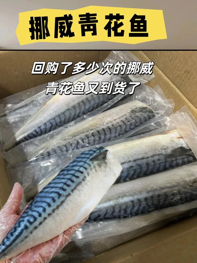 深渊匿名的青花鱼是啥?看完这篇文章你就懂了! 深渊匿名的青花鱼是啥?看完这篇文章你就懂了!