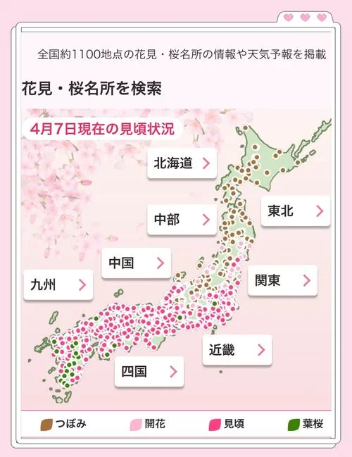 樱花官网官方樱花网站，最新消息都在这！