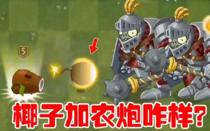椰子加农炮是什么？看完这篇你就全明白了！