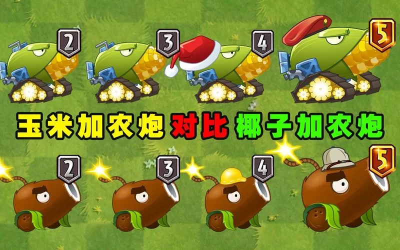 椰子加农炮是什么？看完这篇你就全明白了！