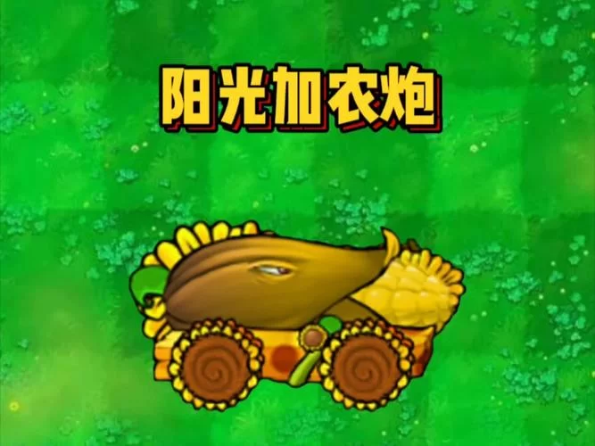 椰子加农炮是什么？看完这篇你就全明白了！
