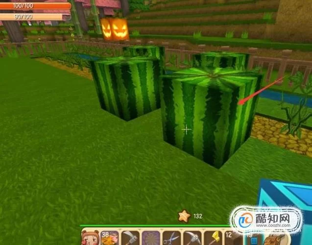 迷你世界怎么快速驯服鸵鸟？老玩家教你实用技巧！