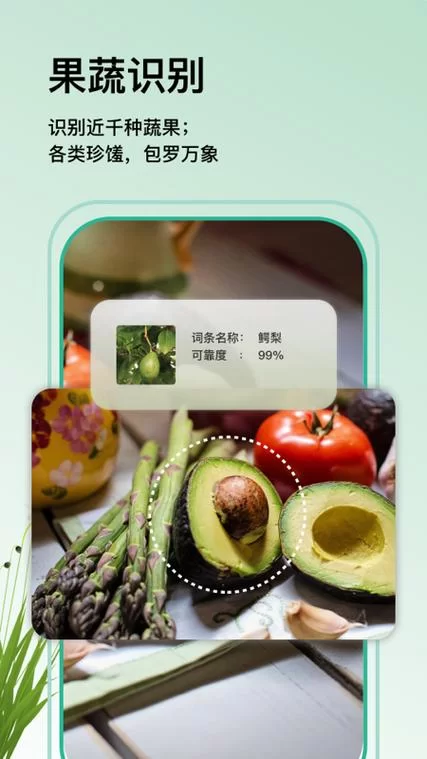 手机万物识别扫一扫哪个好？这几款App值得一试！