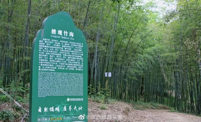 森林合成表大全有哪些？最新最全版本看这里！