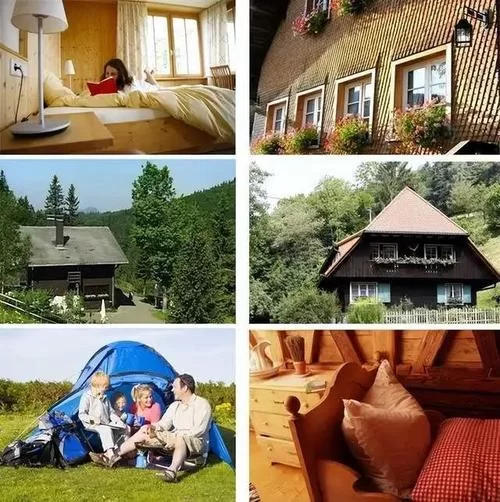 森林合成表大全有哪些？最新最全版本看这里！