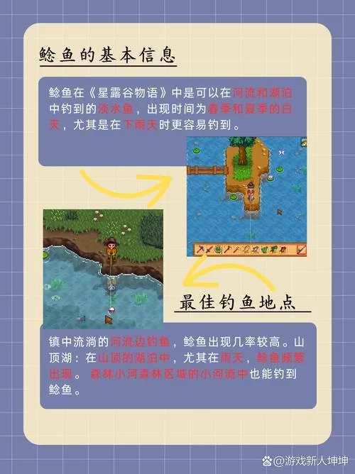 星露谷物语鲶鱼在哪钓？老渔民教你轻松钓到！
