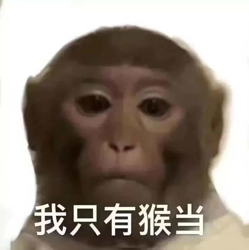 都在搜猴子水门图！这个梗到底有多好笑？
