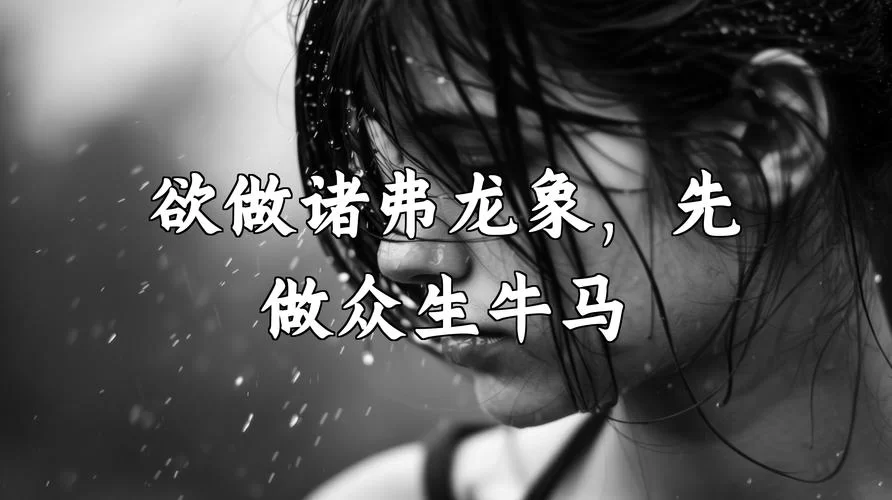 牛马什么意思？网络流行语“牛马”梗的出处和含义！