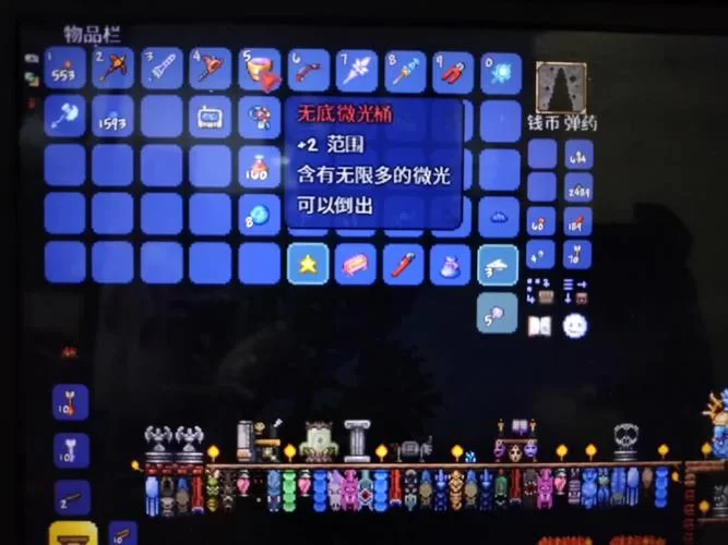 泰拉瑞亚怎么快速刷渔夫任务？老玩家教你捷径！