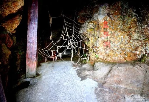 盘丝洞下载去哪里？老司机分享几个靠谱地址！