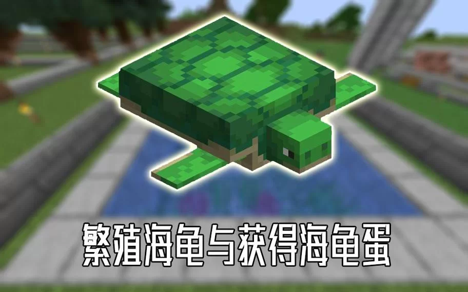 我的世界海龟蛋孵化教程，简单几步快速孵出来！