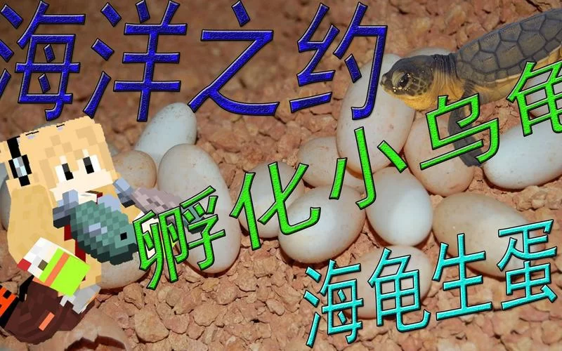 我的世界海龟蛋孵化教程，简单几步快速孵出来！