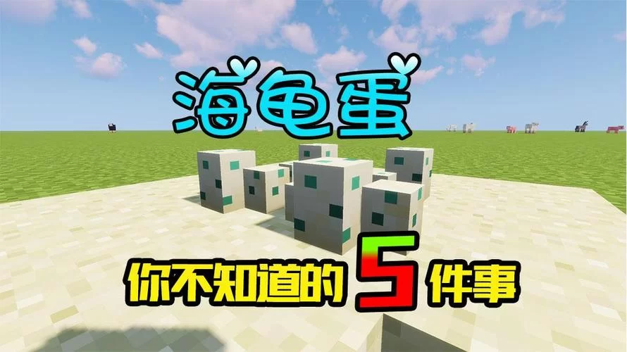 我的世界海龟蛋孵化教程，简单几步快速孵出来！