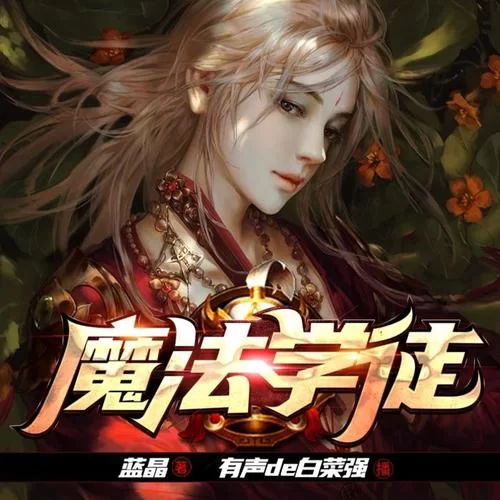 异界魔法师厉害吗？小说里都是怎么描述的？