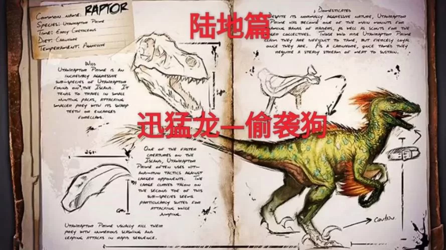 方舟生存进化怎么驯龙快？老玩家分享实用经验！