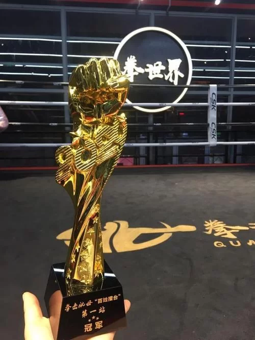 拳击航母官网在哪？新手入门必看网站！
