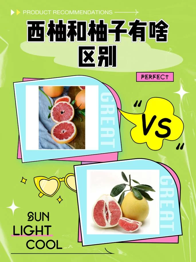 西柚加速器免费吗？不同版本功能对比分析！