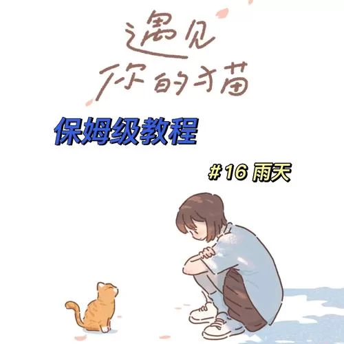 遇见你的猫下载慢怎么办？试试这几个加速方法！