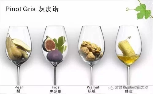 闻香识皇后有科学依据吗？香味与身份的联系！