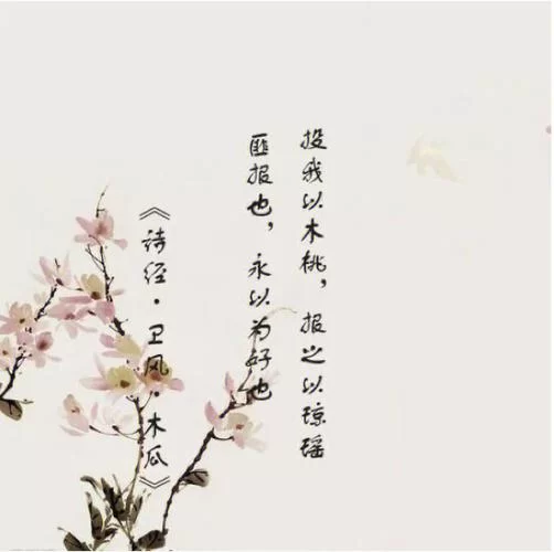 投我以木瓜怎么理解？这篇文章带你走进诗经文化！