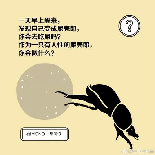 猫弄mono惩罚游戏咋玩？新手教程看这里！