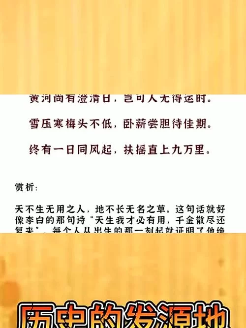 鹏之背的之什么意思？这篇文章让你明白！