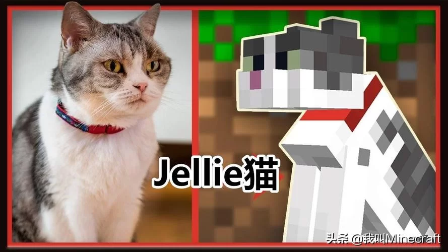 我的世界猫吃什么才能驯服？驯服技巧分享！