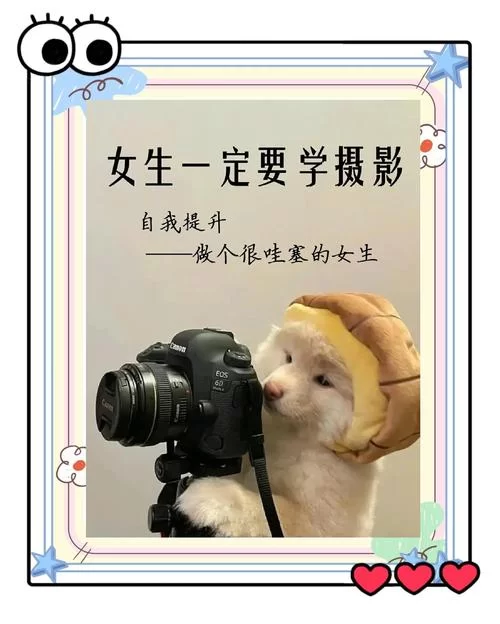 拍照也疯狂：从小白到高手，这些摄影技巧你必须知道！
