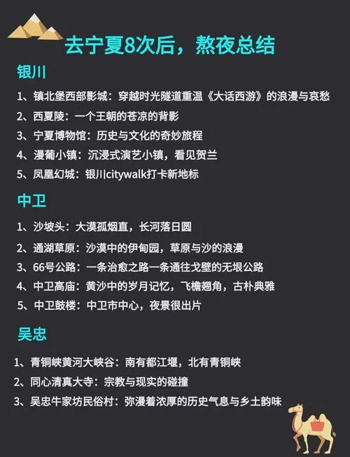 我的宁夏app怎么用？新手入门指南，手把手教会你！