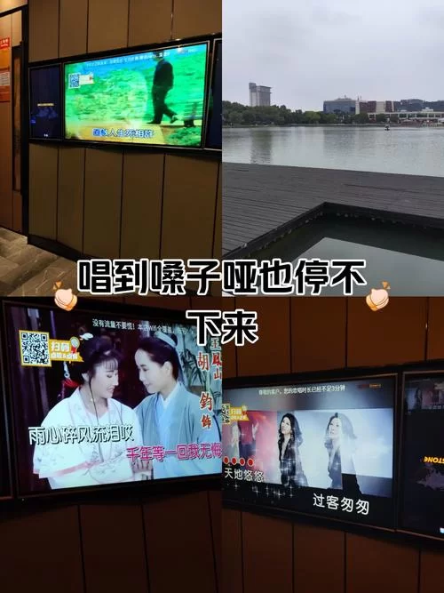 现在是你以后是你是什么歌？单曲循环停不下来！