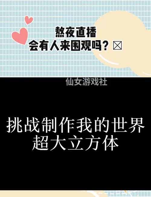 熬夜必备夜间免费直播间，让你告别无聊夜晚！