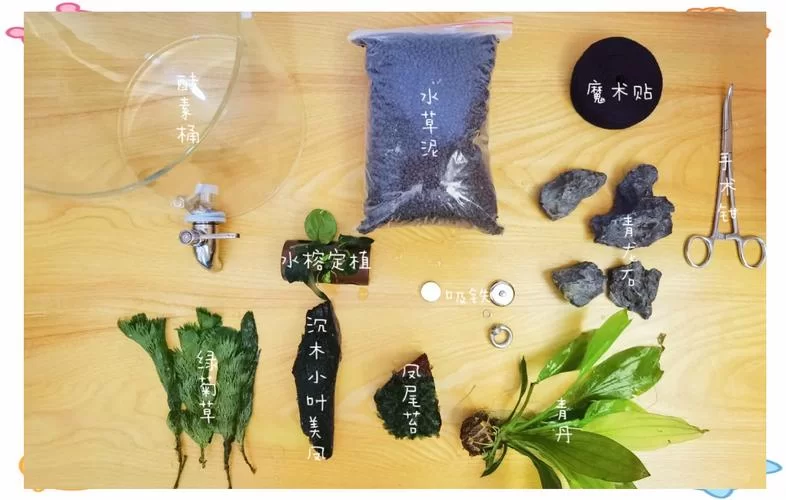 饥荒龙虾怎么抓？新手也能轻松上手的捕捉攻略！
