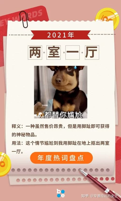 猛1是什么意思？网络热词猛1的深度解析！