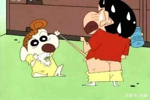 扑飞动漫怎么看不了？解决方法看这篇就够了！