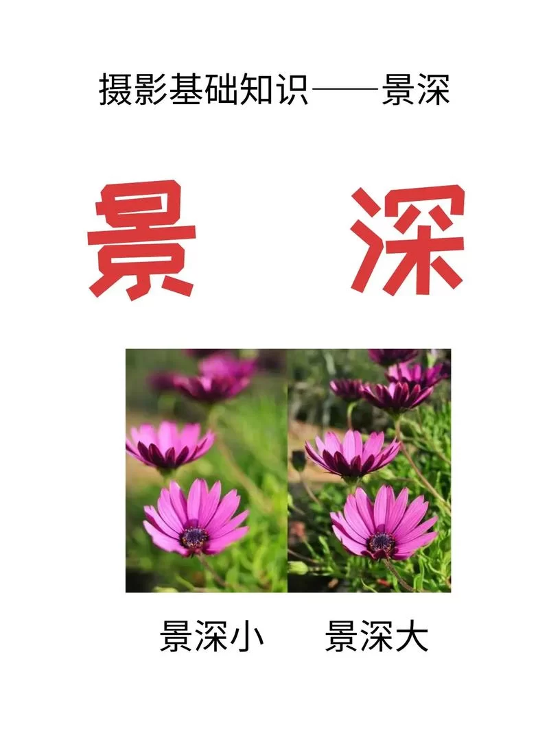 景深效果是什么？一篇文章教你玩转背景虚化！