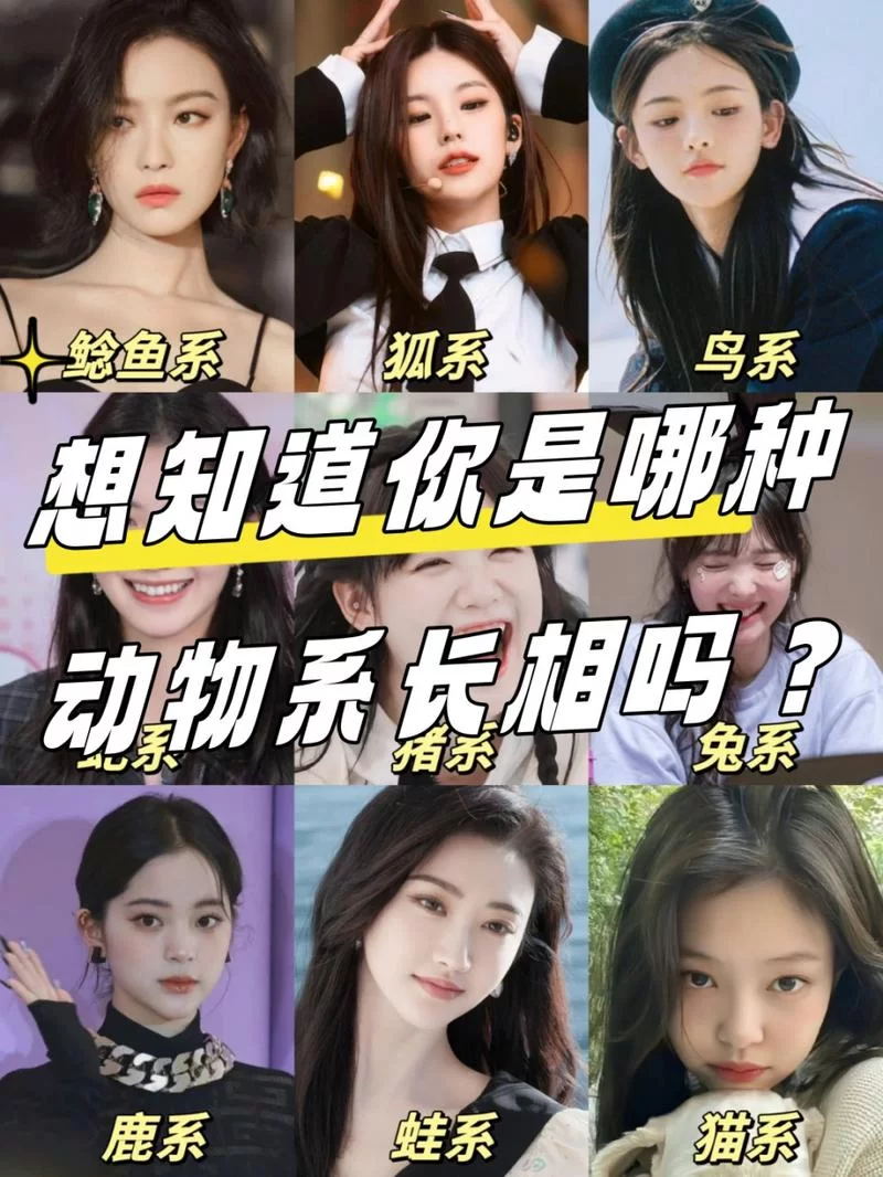 鲶鱼精是什么梗？“鲶鱼精”梗的出处和含义解读！