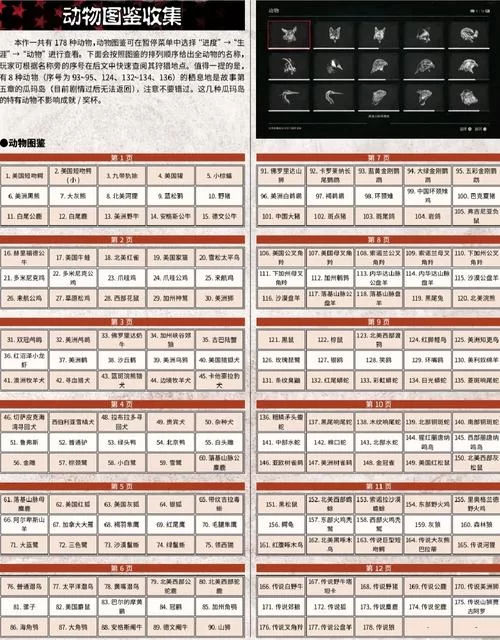 荒野大镖客2马匹排行来了！新手必看的最全攻略！
