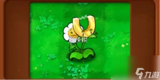 植物大战僵尸金盏花怎么用？新手必看超简单攻略！