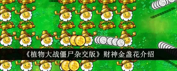 植物大战僵尸金盏花怎么用？新手必看超简单攻略！