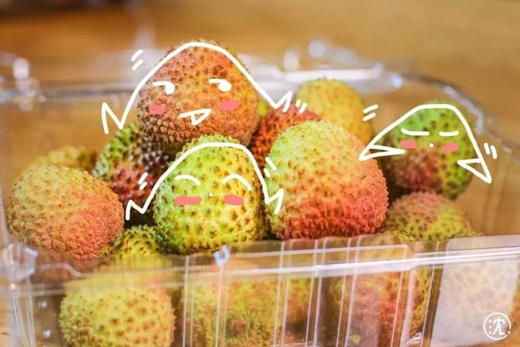 荔枝阅读怎么样？用户真实评价告诉你值不值得用！