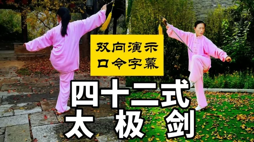烟雨江湖四象剑诀怎么学？手把手教你解锁这门武学！